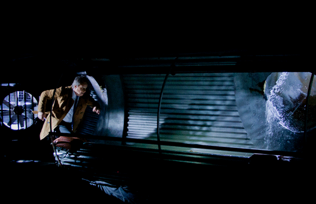 estudio igor - maria fernanda cerezo