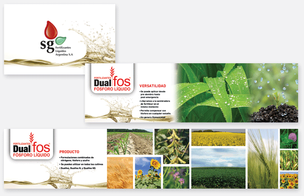 estudio igor - dualfos