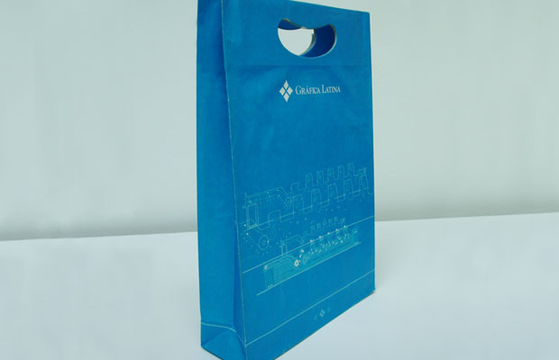 estudio igor - maria fernanda cerezo