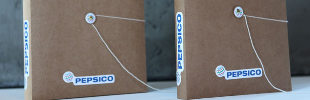 pepsico - estudioigor