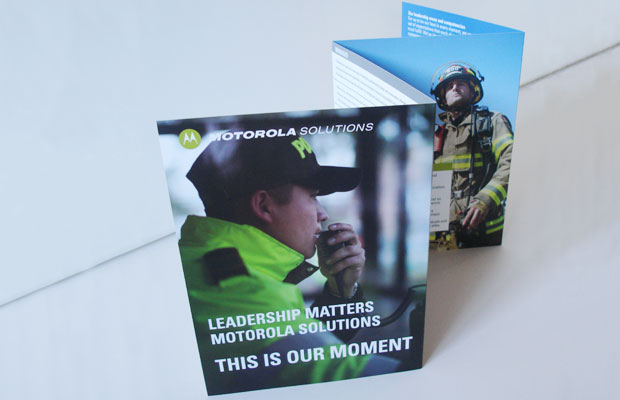 estudio igor - maria fernanda cerezo