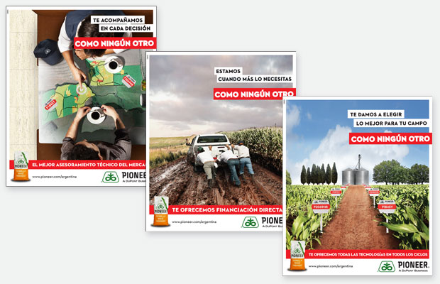 estudio igor - maria fernanda cerezo