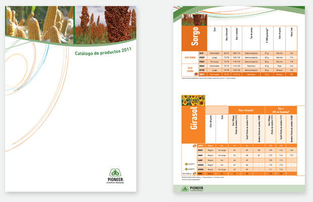 estudio igor - maria fernanda cerezo