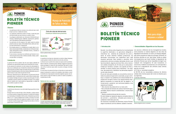 estudio igor - maria fernanda cerezo