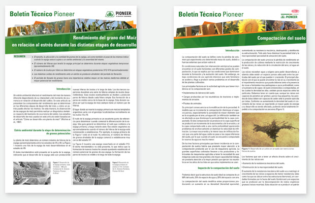 estudio igor - maria fernanda cerezo