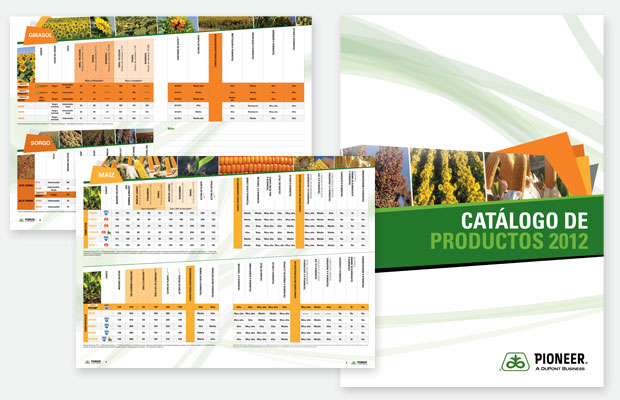 estudio igor - maria fernanda cerezo